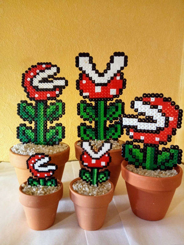 Cactus rouge, Cactus rouge Pot de fleur Cactus rouge